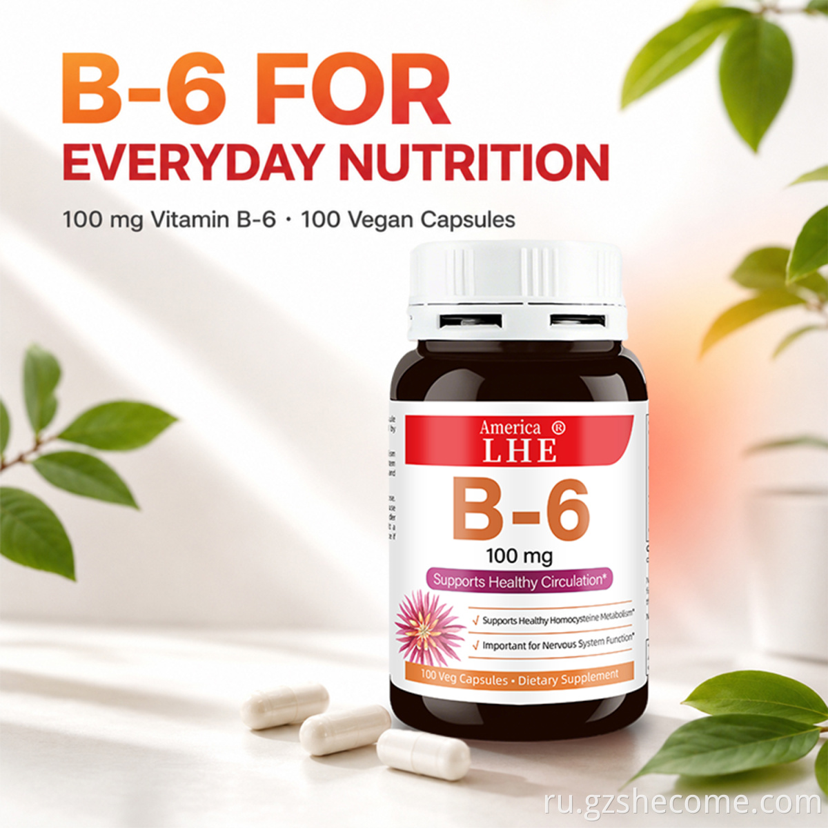 Vitamin B6 Capsules7